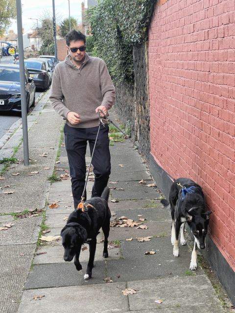 James walking two dogs through a London street