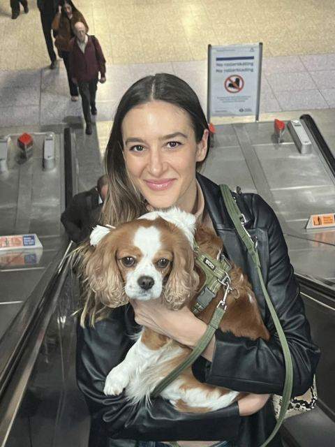 Kat with a Cavalier King Charles Spaniel on the London Underground